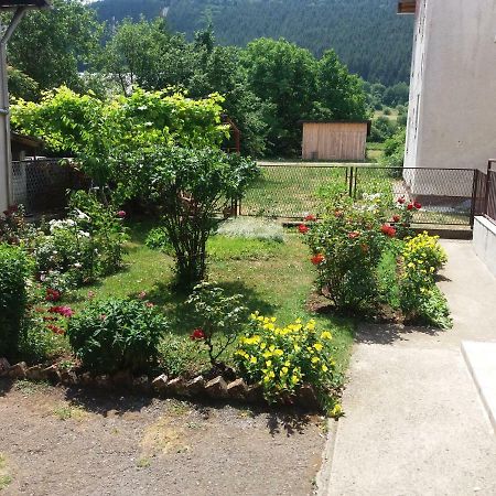 Apartment Hinic Vrhovine Exterior photo